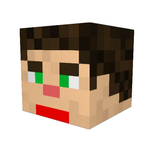 critterkiller123 Minecraft avatar head, 3D render