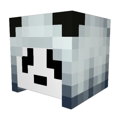 crl_schumann Minecraft avatar head, 3D render