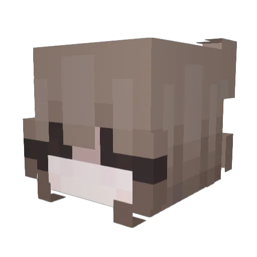 crnh Minecraft avatar head, 3D render