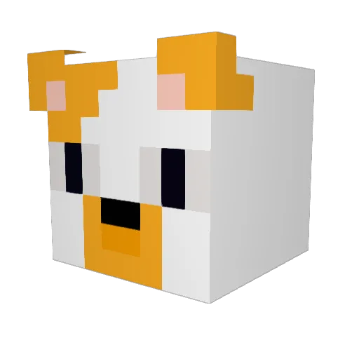 crocodile2008 Minecraft avatar head, 3D render