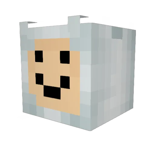 crod1023 Minecraft avatar head, 3D render