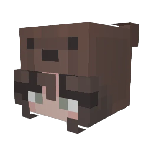 croissantlover4 Minecraft avatar head, 3D render
