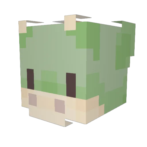cronchyfroggie Minecraft avatar head, 3D render