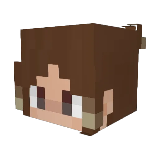 cronicasdaabutre Minecraft avatar head, 3D render