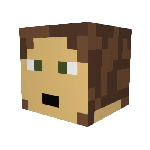 cronullasharks Minecraft avatar head, 3D render