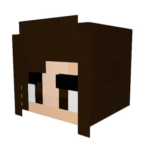 crossknight81 Minecraft avatar head, 3D render