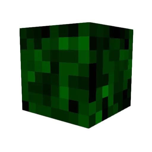 crost11 Minecraft avatar head, 3D render
