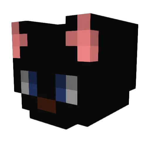 croto0w0 Minecraft avatar head, 3D render