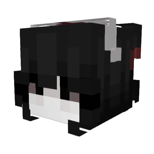croutonuwu Minecraft avatar head, 3D render
