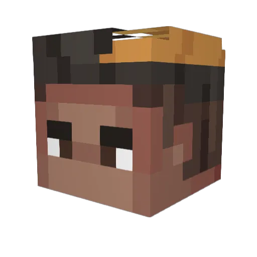 crow0_02 Minecraft avatar head, 3D render