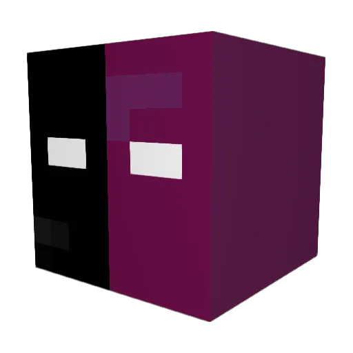 crowARMY Minecraft avatar head, 3D render