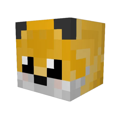 crow_boy_v2 Minecraft avatar head, 3D render