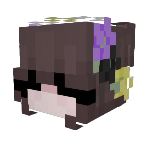 crowaccursed Minecraft avatar head, 3D render