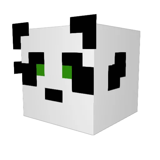 crowbarr95 Minecraft avatar head, 3D render