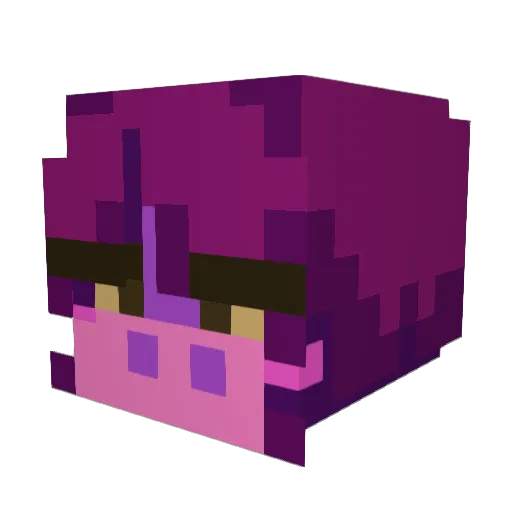 crowbuzz Minecraft avatar head, 3D render