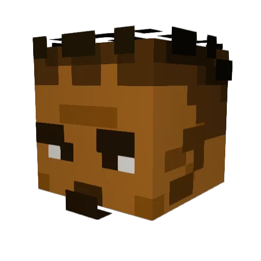 crowju Minecraft avatar head, 3D render
