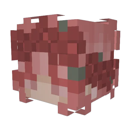 crownedcroissant Minecraft avatar head, 3D render