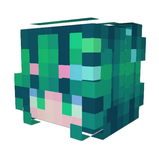 crownsandoo1224 Minecraft avatar head, 3D render