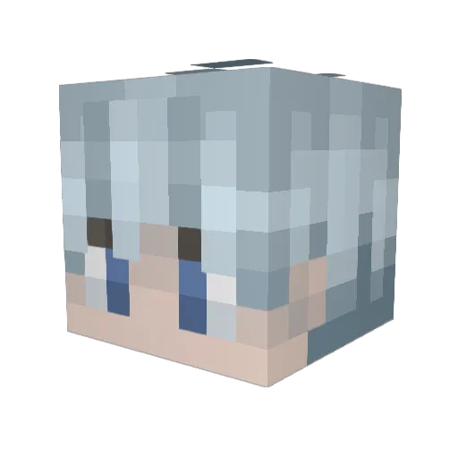 crowpersona5 Minecraft avatar head, 3D render