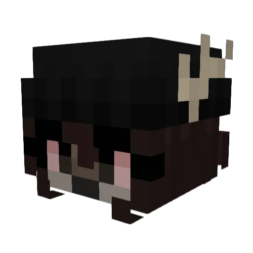 crows_everywhere Minecraft avatar head, 3D render