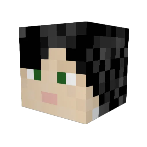 crowsbee Minecraft avatar head, 3D render