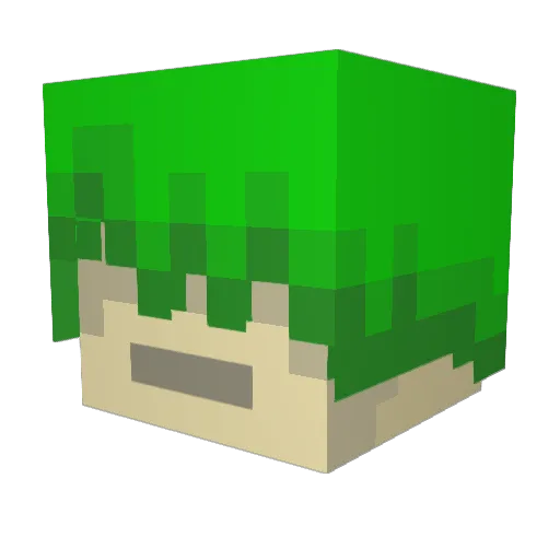 crowswave Minecraft avatar head, 3D render