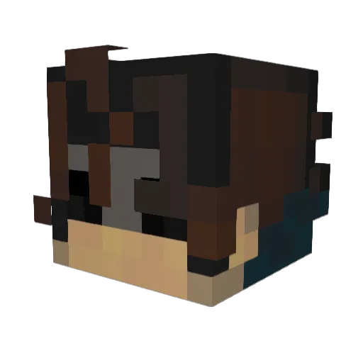 crowszeroz Minecraft avatar head, 3D render