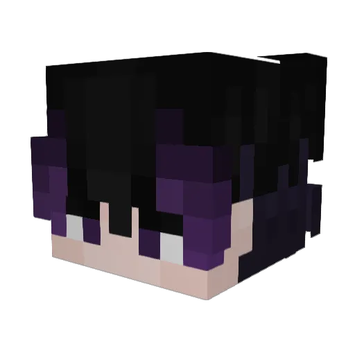 crowx30 Minecraft avatar head, 3D render