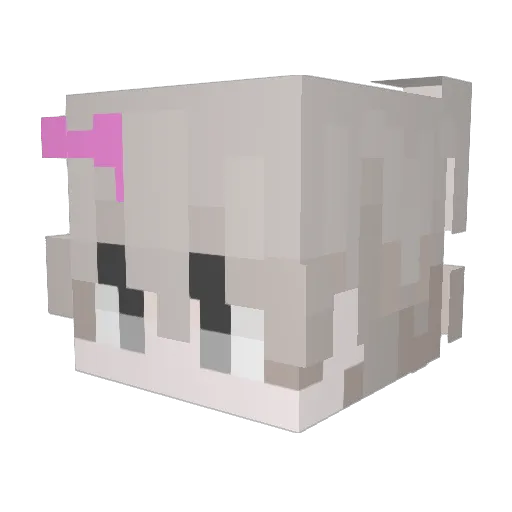 crozzzzzzz Minecraft avatar head, 3D render