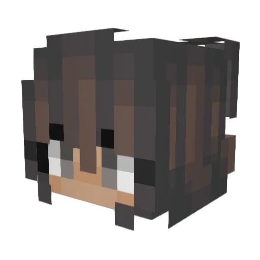 crpttic Minecraft avatar head, 3D render