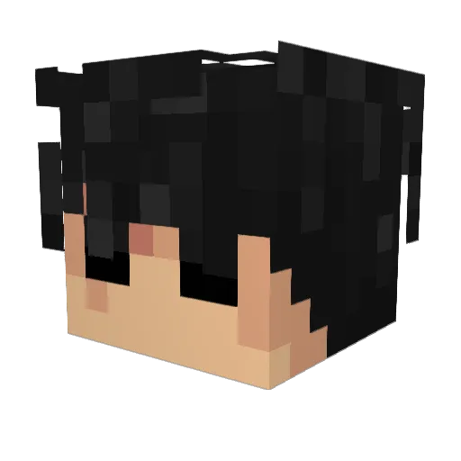 crry Minecraft avatar head, 3D render