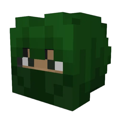 crsjayhawk Minecraft avatar head, 3D render