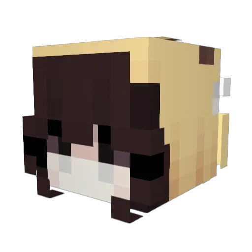 crudelja Minecraft avatar head, 3D render