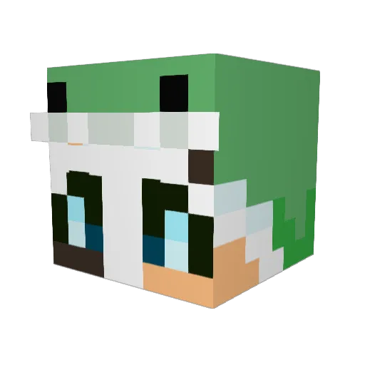 crunchcrumble Minecraft avatar head, 3D render