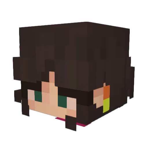 crunchwrappy Minecraft avatar head, 3D render