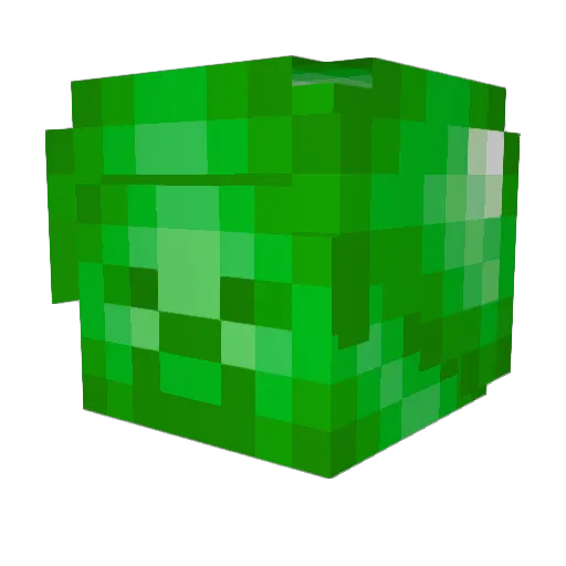 crunchyae Minecraft avatar head, 3D render