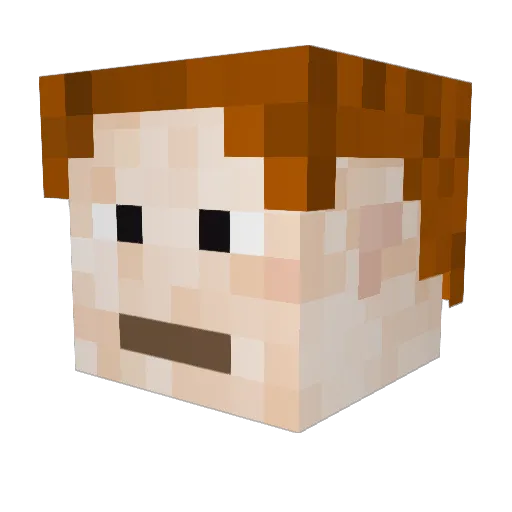 crunchyburrito06 Minecraft avatar head, 3D render