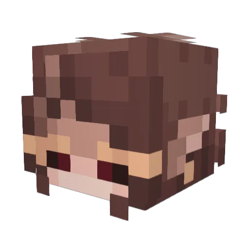crushedbeetul Minecraft avatar head, 3D render