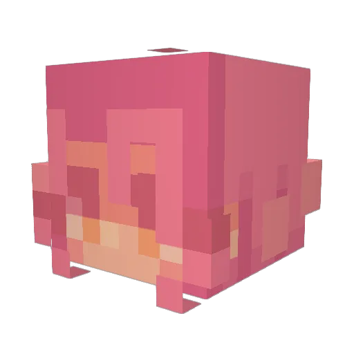 crushfan69 Minecraft avatar head, 3D render
