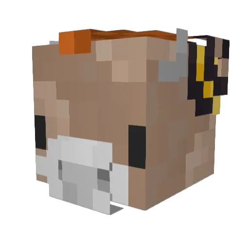 crustii Minecraft avatar head, 3D render