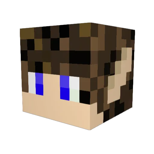 crusty_panther Minecraft avatar head, 3D render