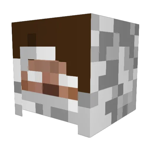 cruzin1990 Minecraft avatar head, 3D render