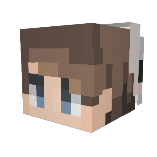 crvvp Minecraft avatar head, 3D render