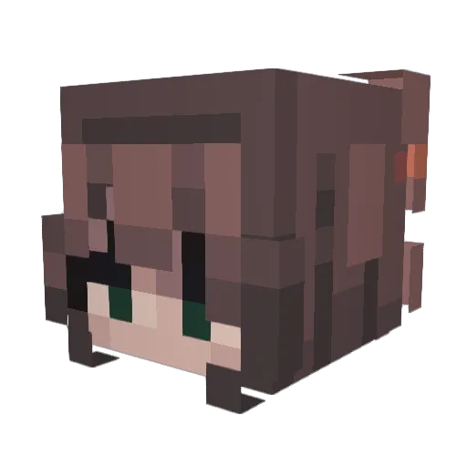 cry_all_the_time Minecraft avatar head, 3D render
