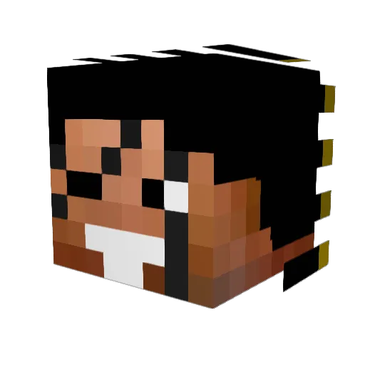 cryanp21 Minecraft avatar head, 3D render