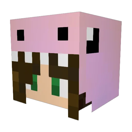 crydn Minecraft avatar head, 3D render