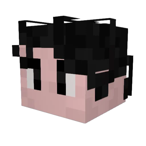 crylooped Minecraft avatar head, 3D render