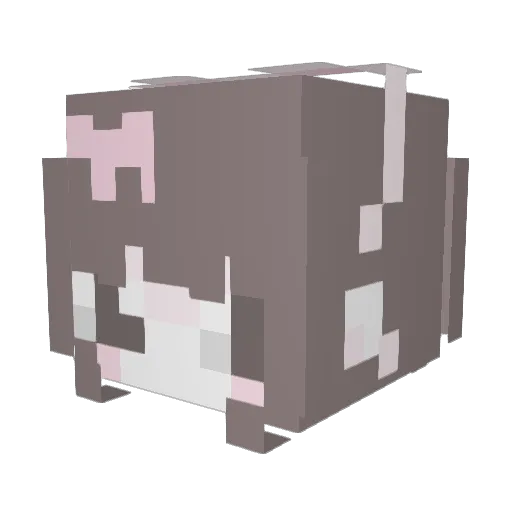 cryntell Minecraft avatar head, 3D render