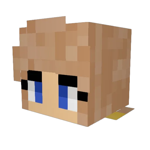 cryotoking Minecraft avatar head, 3D render