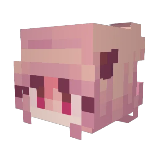 crypticangels Minecraft avatar head, 3D render